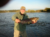 Alagnak Coho Salmon