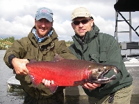 Big Alagnak River Coho