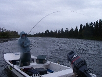 Boat Fish Fight