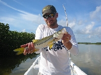 Isla Holbox Snook