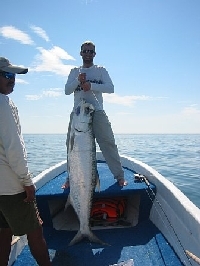Harley Isla Holbox Giant Tarpon