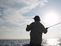 Jim Hulse Casts