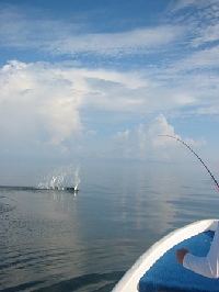 Hooked Tarpon Explodes!