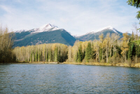 Sustut River View