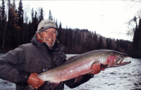 Sustut River 19 pounds