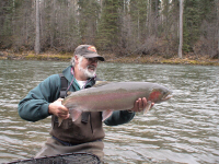 Dennis Farnworth Sustut River Steelhead