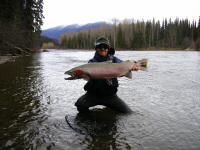 Aaron Adams Sustut River 18 pound Steelhead