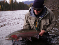 Kory Kapaloski Sustut River Steelhead 14 pounder