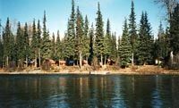 Steelhead Valhalla Lodge Sustut River, B.C.