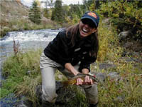 Utah Small Stream Brown Trout