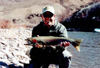 Salmon River, Idaho Steelhead