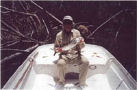 Boca Paila, Mexico Ascencion Bay Tarpon
