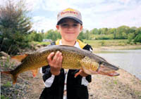 Northern Pike