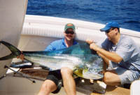 Dorado