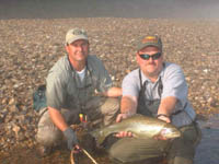 Rainbow Trout, White RIver Arkansas