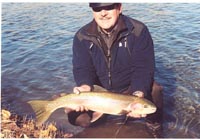 Salmon River, Idaho Steelhead
