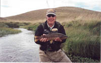 Brown Trout, Chile