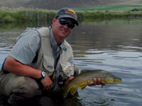 Silver Creek, Idaho Brown Trout