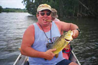 Hawaiian Peacock Bass