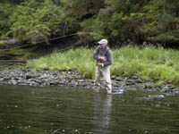 Baranof Island Silver Salmon