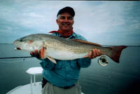 Texas Redfish