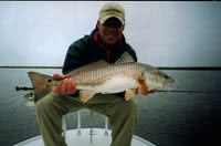Texas Redfish