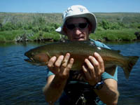 Ham's Fork, Wyoming Rainbow Trout