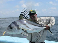 Panama Roosterfish