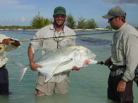 Christmas Island Giant Trevally