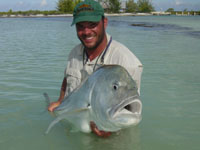 Christmas Island Giant Trevally