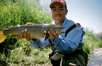 Henry's Fork, Idaho