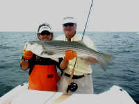 Martha's Vineyard Striped Bass