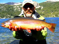 Steve Cook with a Wind River Range Golden Trout