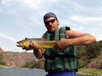 Green River Brown Trout