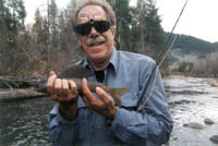 Provo River Grayling