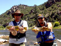 Green River Brown Trout