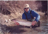 LC Ranch Trophy Rainbow