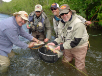 Provo River Fly Fishing