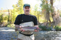 Provo River Rainbow Trout