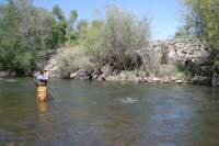Lower Provo River , Utah