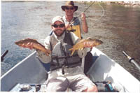 Green River Brown Trout