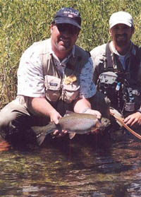 Middle Provo River Rainbow