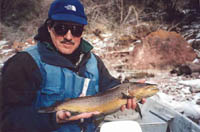 Green River Winter Fly Fishing Brown  Trout