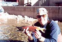Green River Kokanee Salmon