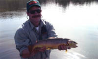 LC Ranch Brown Trout