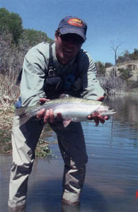 LC Ranch Rainbow