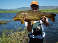 Utah Carp Fly Fishing