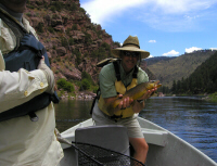 Green River Brown 
