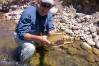 Utah Small Stream Fly Fishing