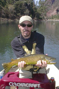 Green River Guide Brown Trout
